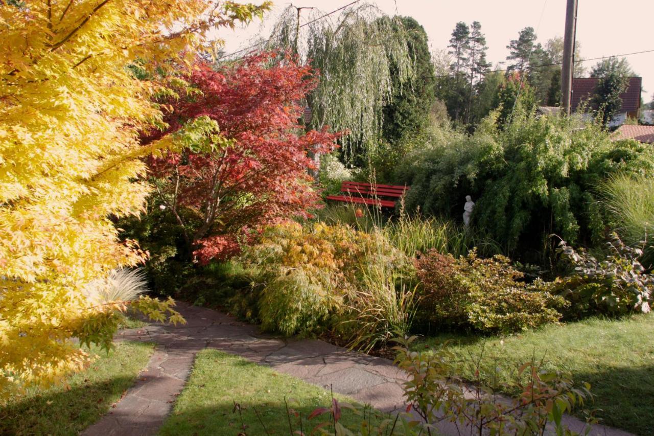 Ferienhaus "Am Waldsaum" Apartment Kurort Gohrisch Exterior photo