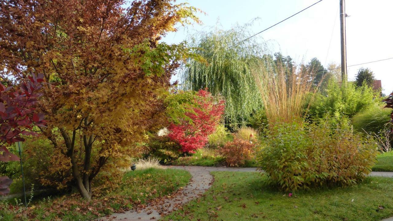 Ferienhaus "Am Waldsaum" Apartment Kurort Gohrisch Exterior photo